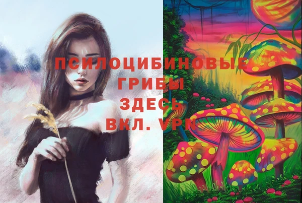 сатива Балабаново