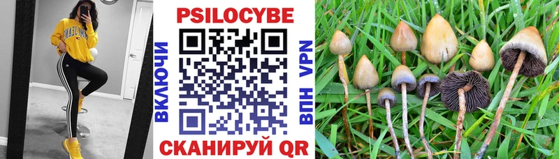 Галлюциногенные грибы Psilocybine cubensis  Рассказово 