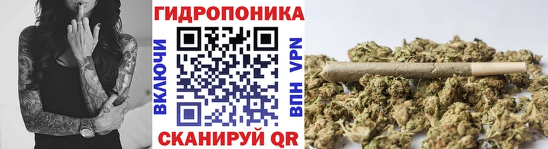 Шишки марихуана план  сайты даркнета формула  Рассказово  наркошоп 